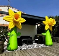 Inflatable মেঝে ফুল